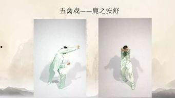 华佗五禽戏教学视频,跟随教学视频，轻松掌握养生秘籍