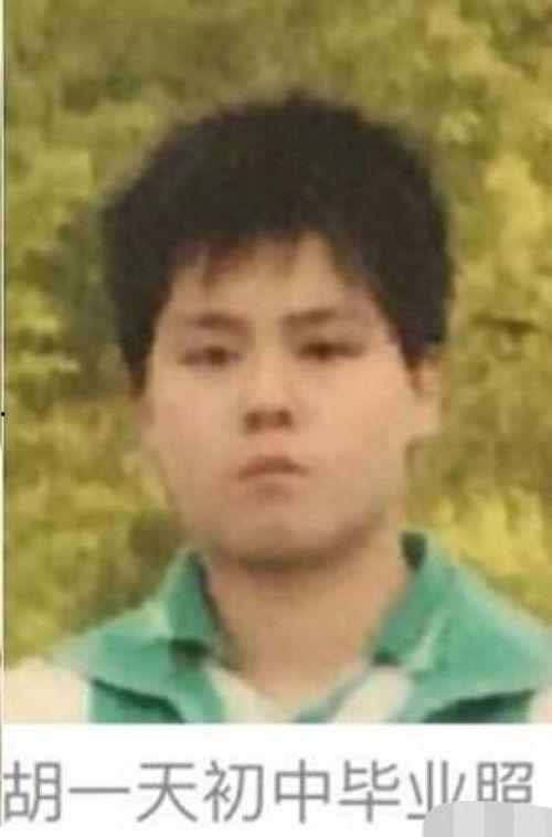 小胖解说爆料最新消息,娱乐圈最新动态大揭秘！