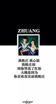 庄姓视频,传承与创新的故事