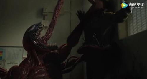 丝袜有毒液吗,真相与安全使用指南