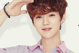 哪些明星粉丝多,盘点娱乐圈人气爆棚的明星阵容