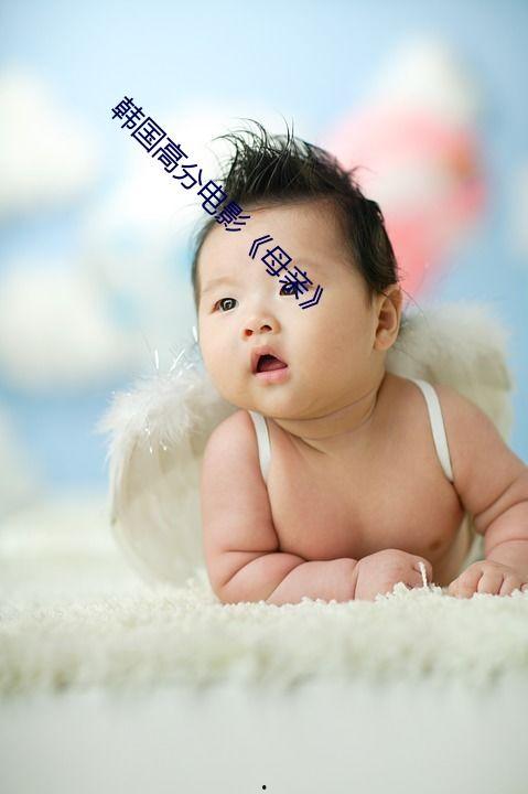 韩国伦理片l在线播放