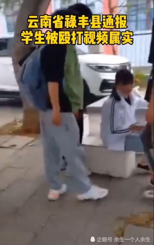 中学生 打人视频,中学生打人视频引发社会关注