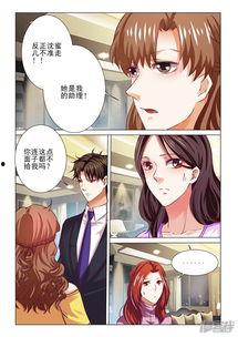 豪门小老婆在线播放